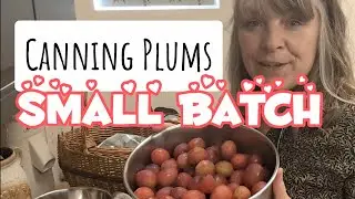 Steam Canning Plums INSTANT Pot, EASY Preserving #canning