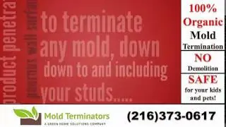 Cleveland Mold Removal | Cleveland Mold Remediation