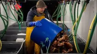'Each day improving' Scottish fisheries strike positive note after initial Brexit issues