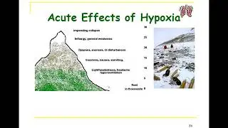 Special Respirations Hypobaric Envrionments
