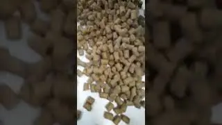 new pellet boilies