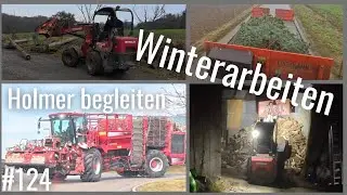 Christbaum-Transport, Vorbereitungen f&uuml;r neue Werkstatt & Holzplatz einrichten | Vlog #124