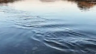 Calm River Surface Sounds for Sleep & Relaxation | Nature ASMR No Music