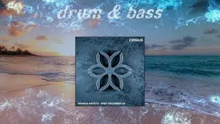 Thesis - Winter's Message (Original Mix)