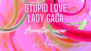 Stupid Love - Lady Gaga (Acoustic Version)
