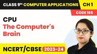 CPU - The Computer's Brain | Class 9 Computer Applications Chapter 1
