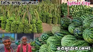 সিলেট পাইকারি ফলের আড়ৎ-তরমুজ এবং কলা নিয়ে ব্যবসায়ীদের ভাবনা! Sylhet Bazar Vlogs।