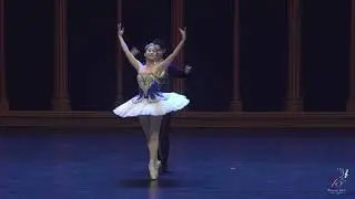 Ballet & The Journey: A 15th Anniversary Spectacle | Grand Pas Classique