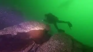 DIVING CHINA WALL AT BLAKELY ROCK