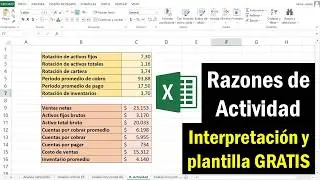 Financial Activity Ratios in Excel 🤓👉 FREE TEMPLATE