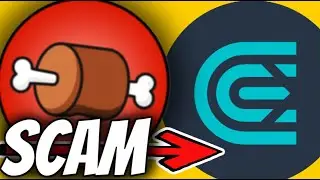 DO NOT BUY OR STAKE YOUR $BONE ON THIS EXCHANGE!!! (CRYPTO SCAMMERS)