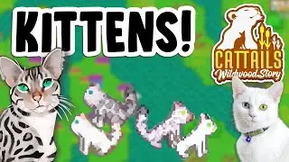The KITTENS are Here! | Cattails Wildwood Story | Ep. 3