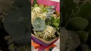 UrbanStems Unboxing (Flowers Only)