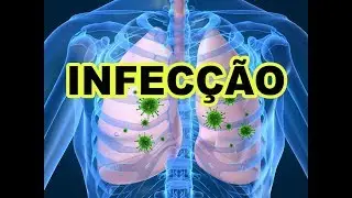 Infec&ccedil;&atilde;o oculta, veja seu hemograma e leucograma.