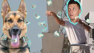 SHOCKINGLY HIGH Cost to Own German Shepherd! - Our 2020 Total Expense Breakdown