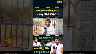 🔥 చెక్కేస్తారు.. Jagan Fan Mass Warning to Kirrak RP Over Comments on Bosta Satyanarayana