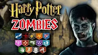 HARRY POTTER'S HOGMEADE ZOMBIES MAP (COD CUSTOM ZOMBIES)
