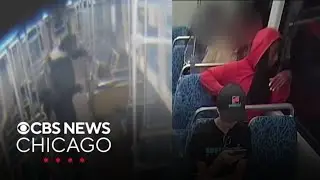 Suspects in Chicago, North Carolina train attacks had history of mental illness