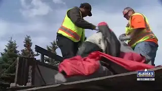 Midtown homeless camp begins clearing after 72-hour notice