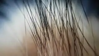 Close Up Texture