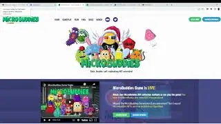 Creating & Funding Your MetaMask Wallet | MicroBuddies