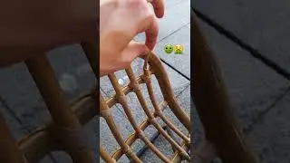 This sh*t is so satisfying #satisfying #gross