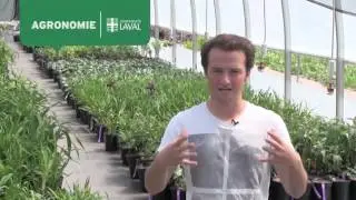 Mathieu Ouellette, diplômé en agronomie