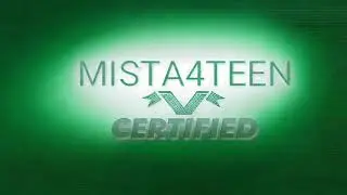 733 Amazing Publicy Record Labels Mista4teen