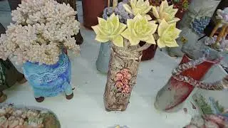 작품전시회에 온듯하네요!! 얼굴이 크고 보석같은 다육이들 만나보세요