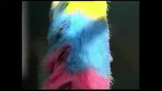 Plumeau