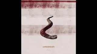 Matt Van &ndash; cottonmouth