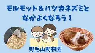なかよし広場　小動物ふれあいプログラム　〜4つのお約束〜