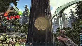 Taming Dino in ARK Survival Evolved