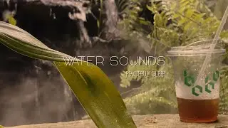 Peacefall: Calm & Healing Music for Stress Relief