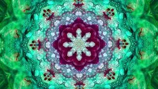 Polypores -  Frost And Moss (Music Video)