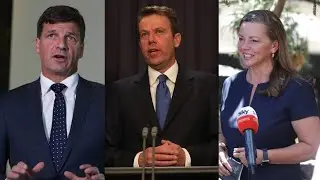 Fresh unity ticket emerges in battle for Liberal Party leadership