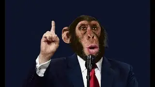 Chimpton For 2024 (CAPTIONS ON.)