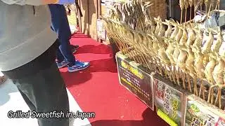 Grilled Sweetfish
