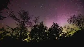 Manifest Your Lifa App Subliminal | Conjure An App To Help You Traverse The Multiverse