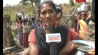 Scarcity Of Water In Odisha