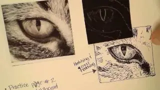 Transferring an Image to scratchboard