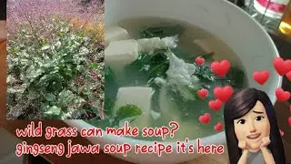 wild grass soup (gingseng java leaf soup)resep sop rumput liar gingseng jawa kaya manfaat