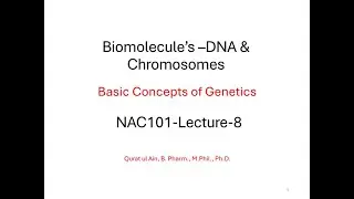 Biomolecule DNA & Chromosomes  Lecture 8