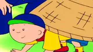 Caillou em Português | Caillou e o Zoológico no Quintal | Nova Temporada | Desenho Animado