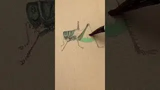 The Art of Chinese Gongbi Flower and Bird Painting | Mastering Traditional Techniques and Brushwork