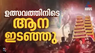 കോഴിക്കോട് കൂറ്റഞ്ചേരിയിൽ  ഉത്സവത്തിനിടെ ആന ഇടഞ്ഞു; ഓടുന്നതിനിടെ വീണ് 7 പേർക്ക് പരിക്ക് |Kozhikode