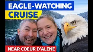 Winter Eagle-Watching Cruise on Lake Coeur d&rsquo;Alene 🦅 | Scenic Boat Tour & Bald Eagle Facts