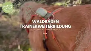 Trainerweiterbildung Waldbaden mit Hund 2025