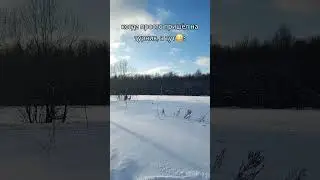 ПОДПИШИСЬ НА ТГ: fedok7 😈😈😈 ШАРФ - @disaxdm
