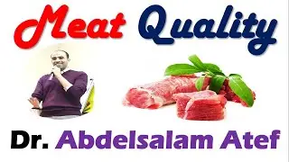 Meat Quality - د. عبدالسلام عاطف